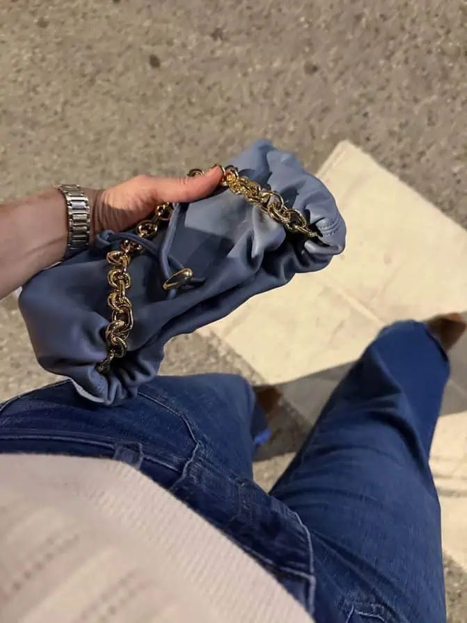 cuyana and frame bag