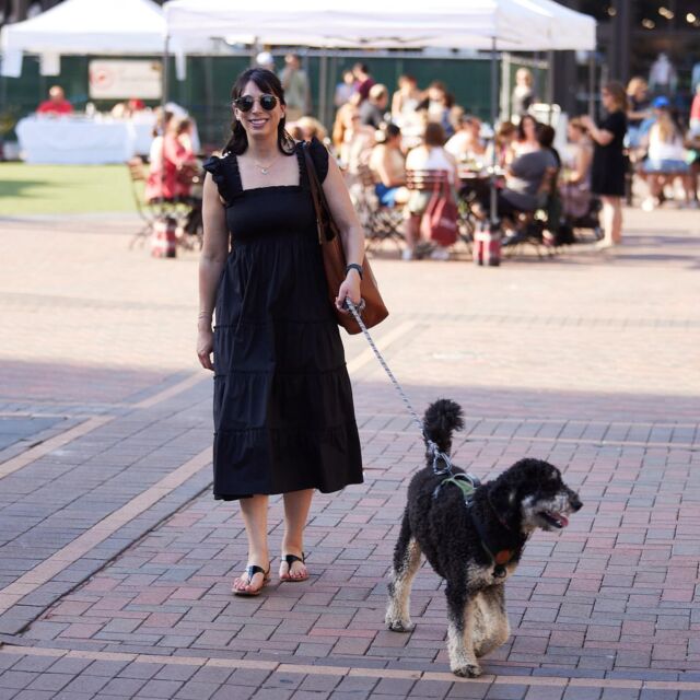 Henri and I had a blast last week at the kickoff to the French Market 🇫🇷 last week in Chicago. @gallagherwaychi

Not only is it family friendly, but also dog friendly. 🐶 Henri made some new friends while I picked up some fruits and vegetables for home and stayed cool with an iced slushy. 

Swipe through to see some of the adorable photos of Henri and the event. ❤️

The next French Market is May 26th you can find more details here: https://bit.ly/3uZg5vy

Photos by @dontetatum 
@gallagherwaychi 
@bensidounfrenchmarket 

#gallagherwaychi #gallagherwayfrenchmarket