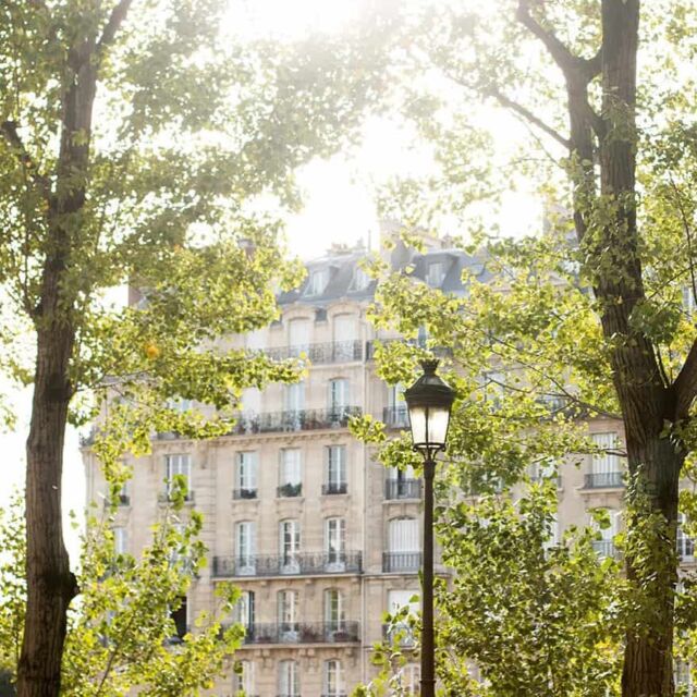 Happy Sunday! One of my favorite images from the last light of summer ✨ in Paris. Grab your coffee and croissants and join me for links I love. ❤️

Some of my favorites include:
1. Four dreamy Paris homes that will make you want to move there
2. Ina Garten’s 14 favorite places to eat in Paris
3. Thé everyday magic of noticing 
4. Lupin is back for part 3. Watch the trailer and get ready for October
5. A tradition going strong. Brides who take their husbands names and those who don’t. 

https://everydayparisian.com/links-i-love-week-37-4/

#everydayparisian #sundayreading #sundayinparis