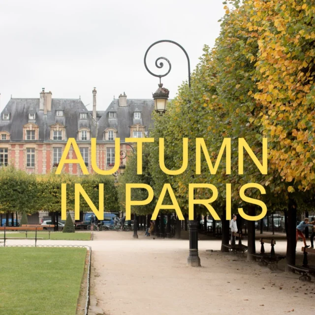 One of the things I love about autumn in Paris is the ivy, which changes from green to shades of orange and vibrant red. Ivy covers the city’s buildings, the walls along the Seine, and courtyards with pops of color. Parisian parks transition to fall early, as trees lose their leaves and cover the ground. 🍂 Autumn in Paris may include crisp, cool temperatures with warm light, followed by rainy days with piles of leaves at your feet. 

More in my book Paris Every Day ❤️