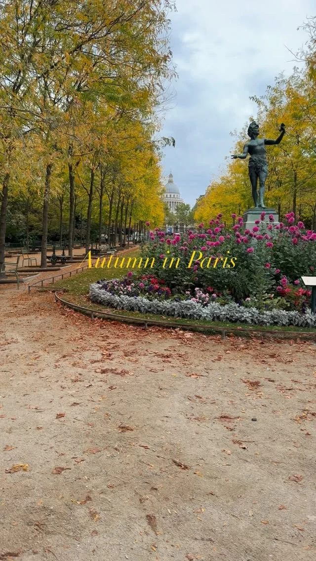 Autumn 🍂 in Paris. No notes 📝 

Warming, watching this may cause you to book a flight to Paris. Don’t say I didn’t warn you. ✈️ 

#everydayparisian